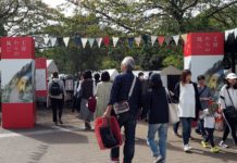 陶磁器アクセサリー作家に注目 「工房からの風」