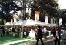 全国の工芸品集まる 「森のやきものフェア」