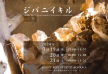 有田焼の展示・体験・対話イベント「ジバニイキル」、東京・南青山で開催