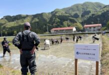 ニッコー、田んぼのオーナー制度のテスト運用開始